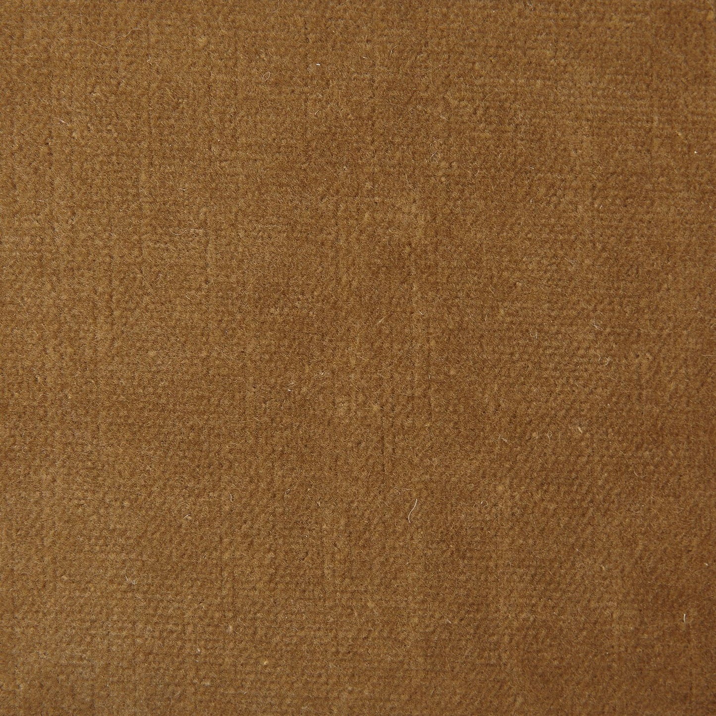 Evelyn Chair - Toast Velvet