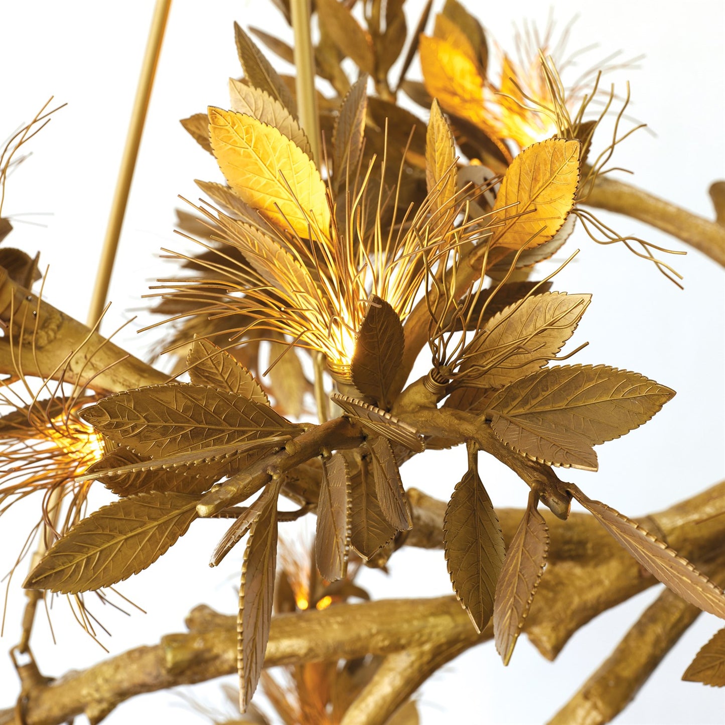Albizia Chandelier