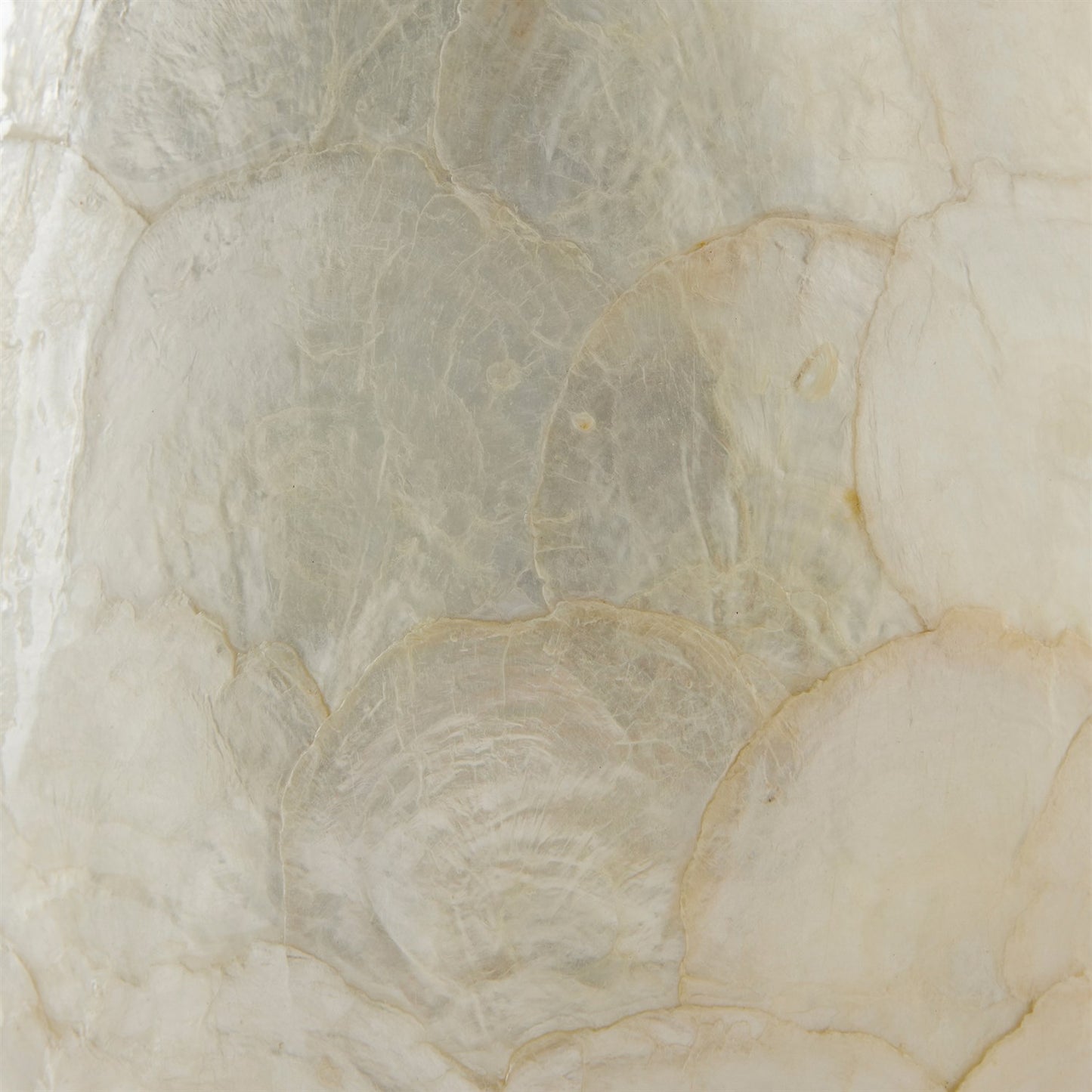 Abalone Shell Scaled Lamp - Gray - Grats Decor Interior Design & Build Inc.