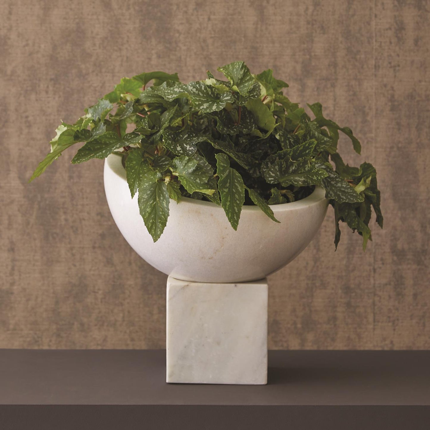 Elements Bowl On Tilt Block - Grats Decor Interior Design & Build Inc.