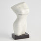 Marble Torso