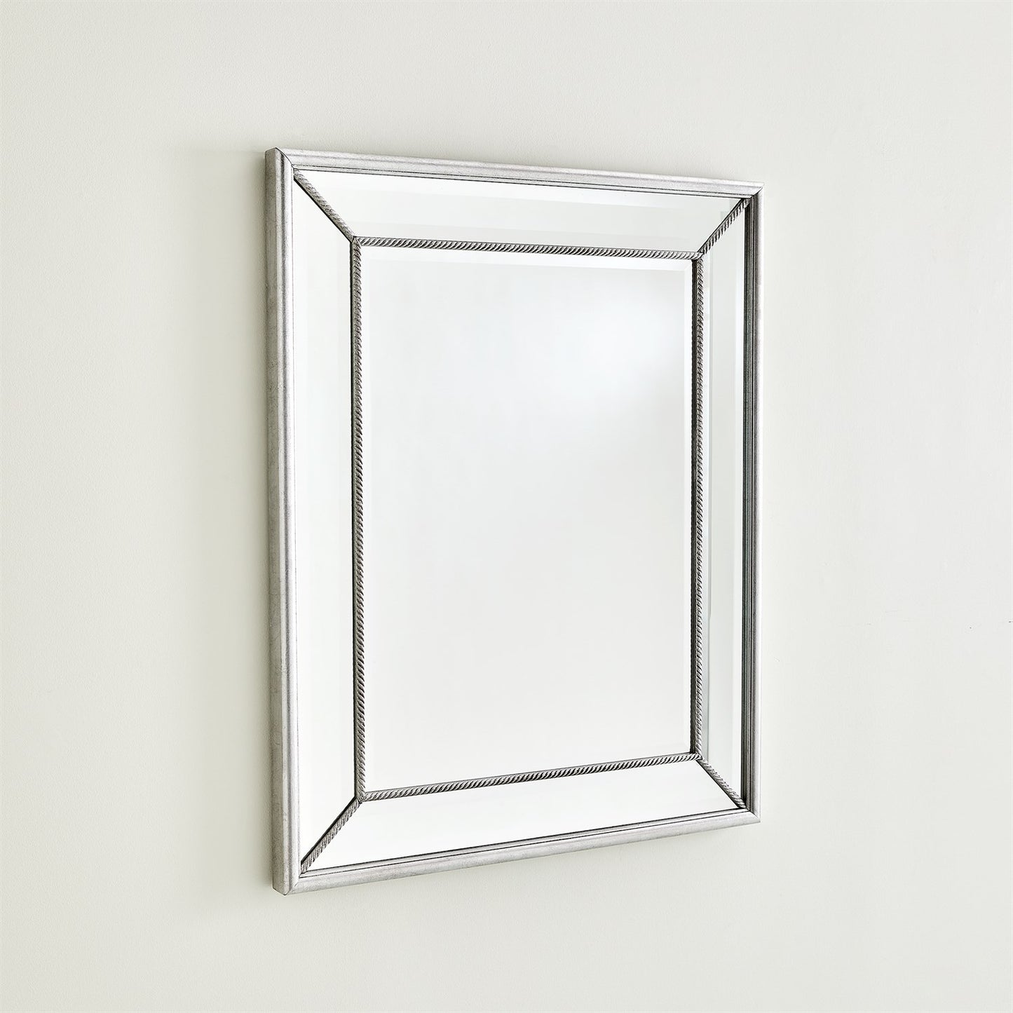 Vermeil Rope Mirror - Silver Leaf