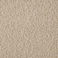 Nola Dining Chair - Parchment