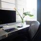 Office / Guest Room Remodel - Grats Decor Interior Design & Build Inc.