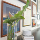Cow Hollow Bedroom - Grats Decor Interior Design & Build Inc.
